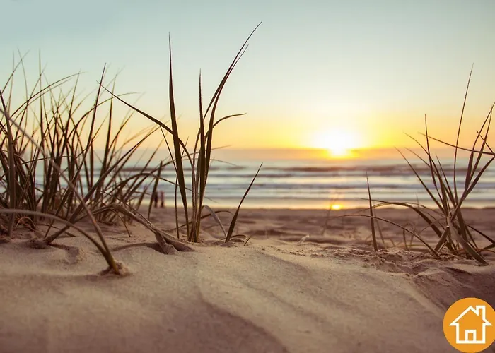 Baltic Waves - Visitopl Międzyzdroje